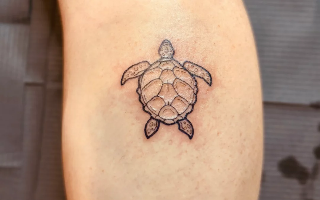 Tatouage tortue fine line minimaliste tattoo Clisson