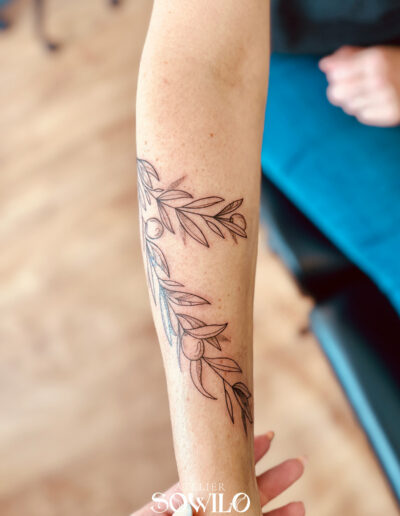 tatouage-bras-femme-branche-olivier-fineline-tattoo-atelier-sowilo